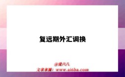 复远期外汇调换