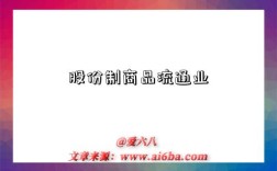 股份制商品流通业