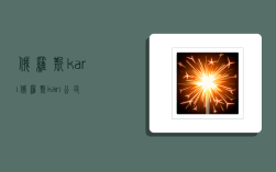 俄罗斯kari,俄罗斯kari公司