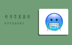 跨境电商林媛,跨境电商林媛简介