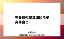 布鲁迪拟建立国际电子商务窗口