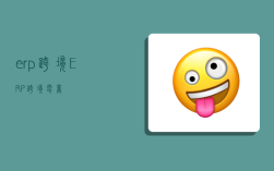 erp跨境,ERP跨境电商