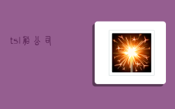 tsl船公司 