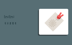 bsi,bsi是什么意思