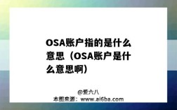 OSA账户指的是什么意思（OSA账户是什么意思啊）