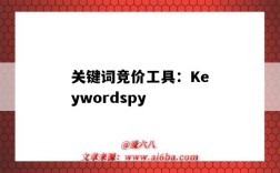 关键词竞价工具：Keywordspy（关键词竞价查询）