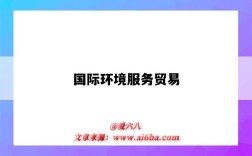 国际环境服务贸易
