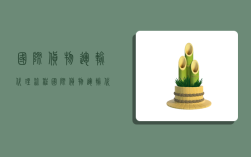 国际货物运输代理流程,国际货物运输代理流程图