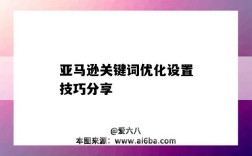 亚马逊关键词优化设置技巧分享（亚马逊精准关键词设置技巧）