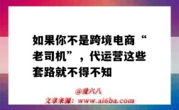 如果你不是跨境电商“老司机”，代运营这些套路就不得不知（跨境电商有代运营吗）