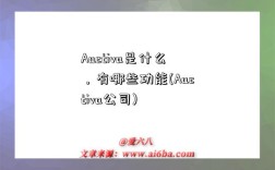 Auctiva是什么，有哪些功能(Auctiva公司)