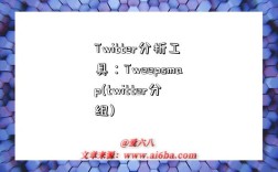 Twitter分析工具：Tweepsmap(twitter分组)