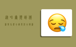 从哈尔滨到俄罗斯怎么去,从黑河去俄罗斯要签证吗