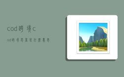 cod跨境,cod跨境电商是什么意思