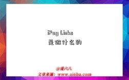 iPay Links是做什么的