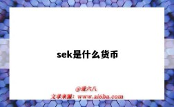 sek是什么货币（SEK是什么货币）
