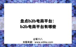 盘点b2b电商平台：b2b电商平台有哪些（B2B有哪些电商平台）