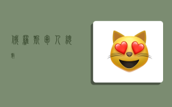 俄罗斯军人总数,