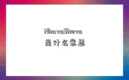 NhavaSheva是什么意思