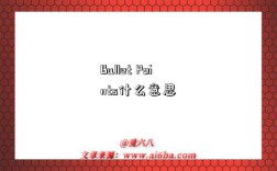 Bullet Points什么意思