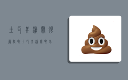 土耳其清关很严格啊,土耳其清关要求