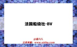 法国船级社-BV（法国船级社bv上海 怎么样）