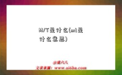 M/T是什么(mt是什么意思)