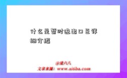 什么是暂时进出口巨详细介绍