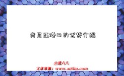 肯尼亚港口的优势介绍