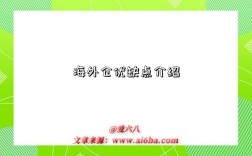 海外仓优缺点介绍