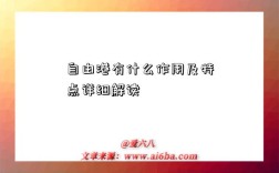 自由港有什么作用及特点详细解读