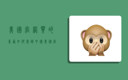 美国官网买的东西如何寄到中国,美国官网买的东西如何寄到中国去