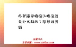 外贸跟单流程和流程图是什么样的？跟单对英语