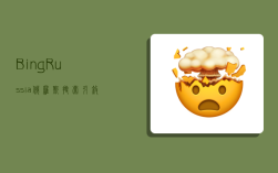 Bing Russia 俄罗斯搜索引擎入口