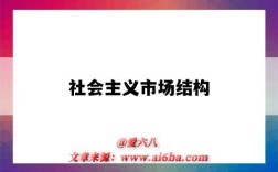 社会主义市场结构