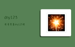 dny123跨境电商,dny123跨境电商导航