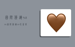 国际货运saas,国际货运sa是签单信息么