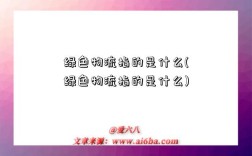 绿色物流指的是什么(绿色物流指的是什么)