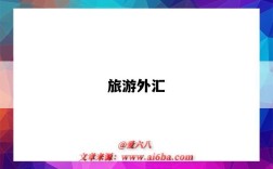 旅游外汇