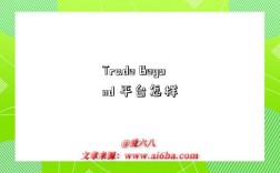 Trade Beyond 平台怎样