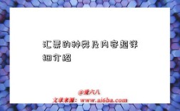 汇票的种类及内容超详细介绍