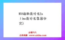 IEN指的是什么(aⅠien是什么意思中文)