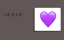 xt 跨境支付,