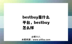 bestbuy是什么平台，bestbuy怎么样（bestbuy是什么网站）