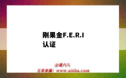 刚果金F.E.R.I认证（刚果金bv检测）