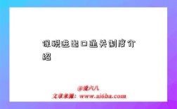 保税进出口通关制度介绍