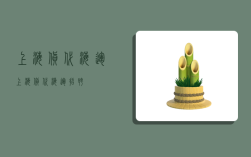 上海货代海运,上海货代海运招聘