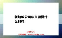 新加坡公司年审需要什么材料（新加坡公司年检费用是多少）