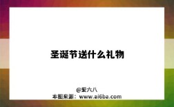 圣诞节送什么礼物（法国圣诞节送什么礼物）