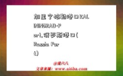 加里宁格勒港口KALININGRAD-Port,俄罗斯港口(Russia Port)